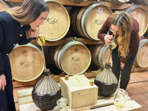 Zážitková degustace vín Staň se vinařem na 4-5 hodin