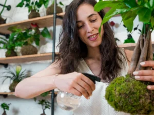 Výroba mechária, aerária nebo kokedamy: 1-2 osoby