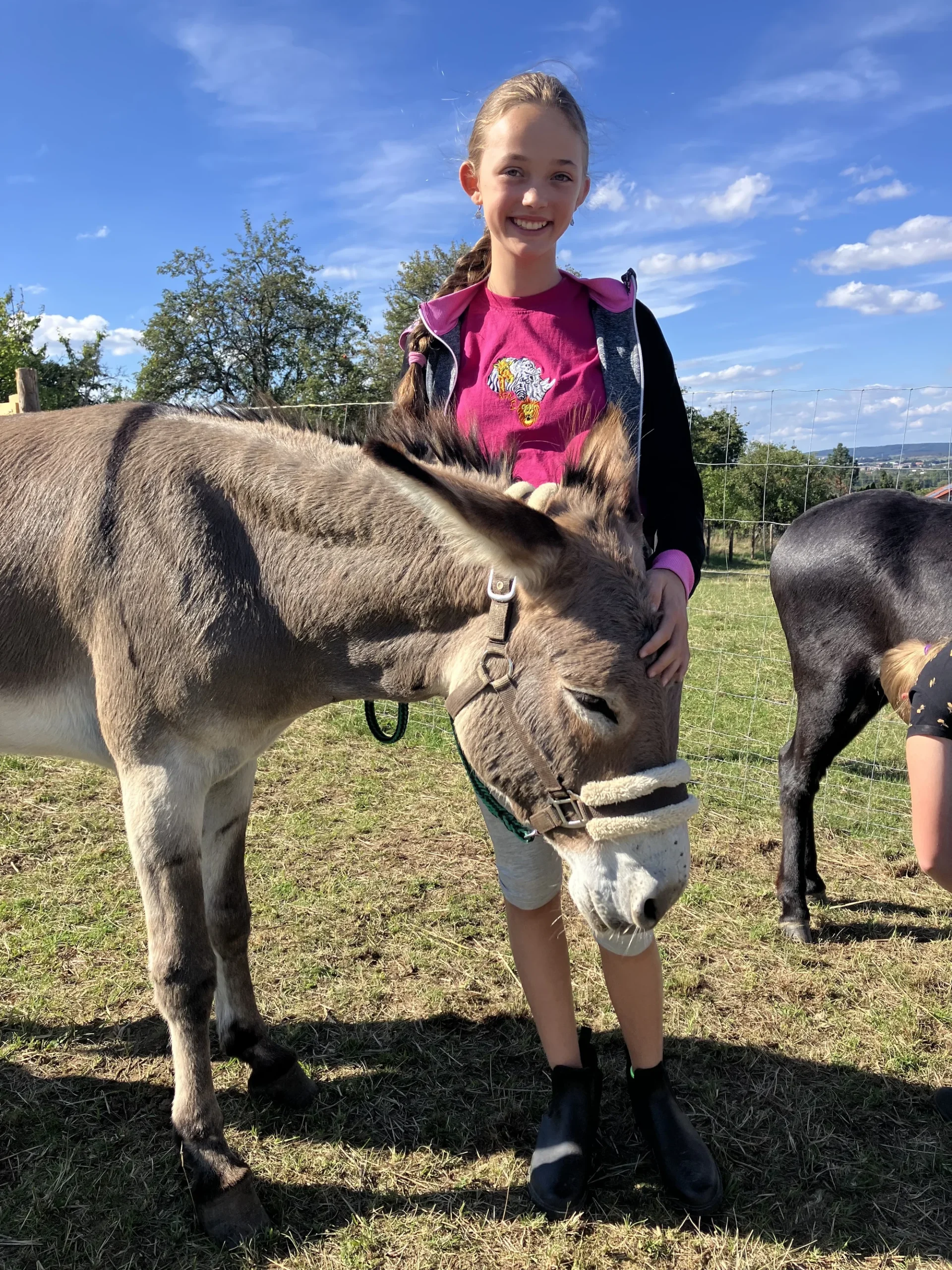 Jízda na oslíkovi a péče o něj pro celou rodinu - Obrázek 4
