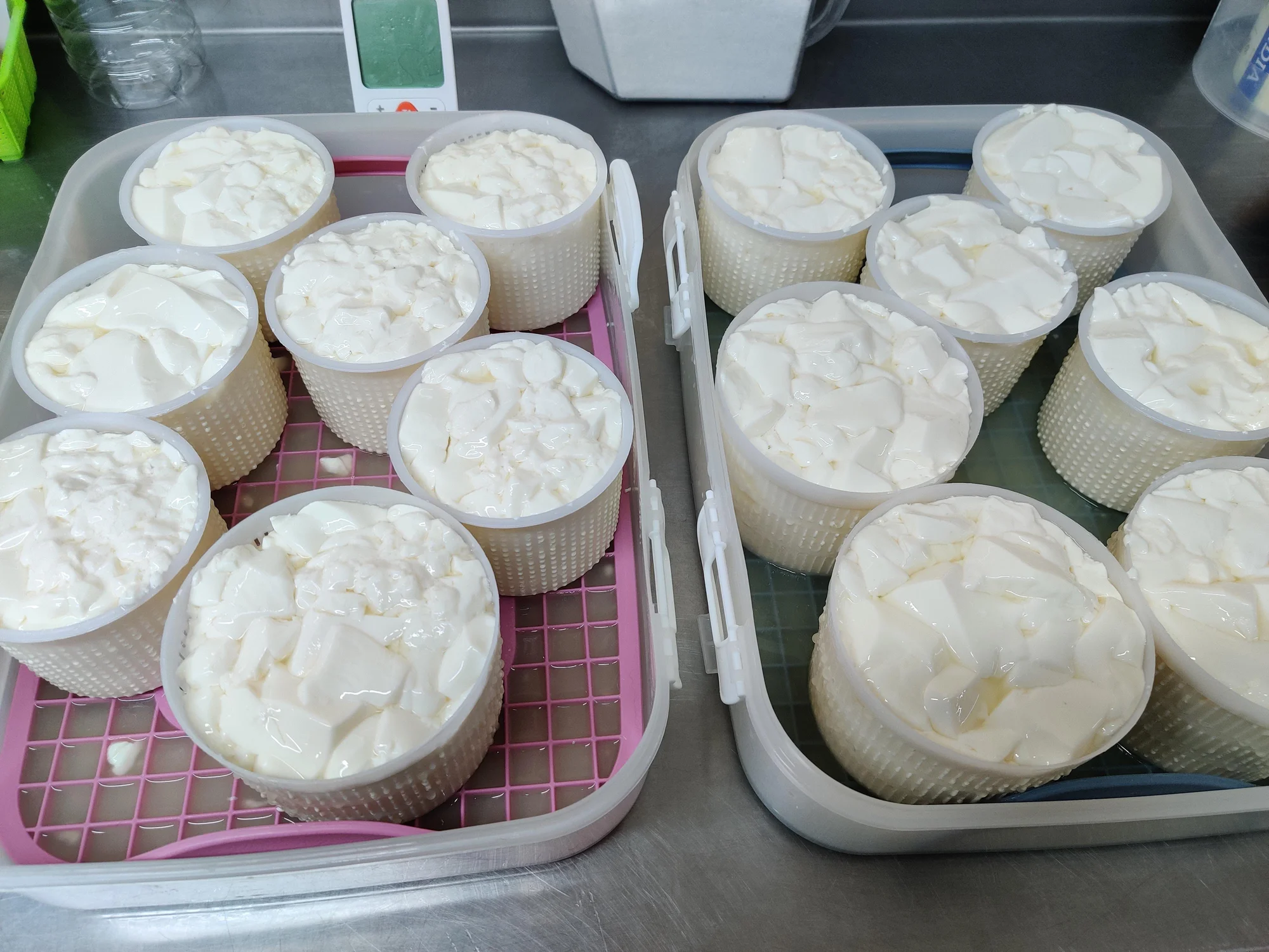 Sýrařem na den: od dojení až k výrobě sýra - Obrázek 11