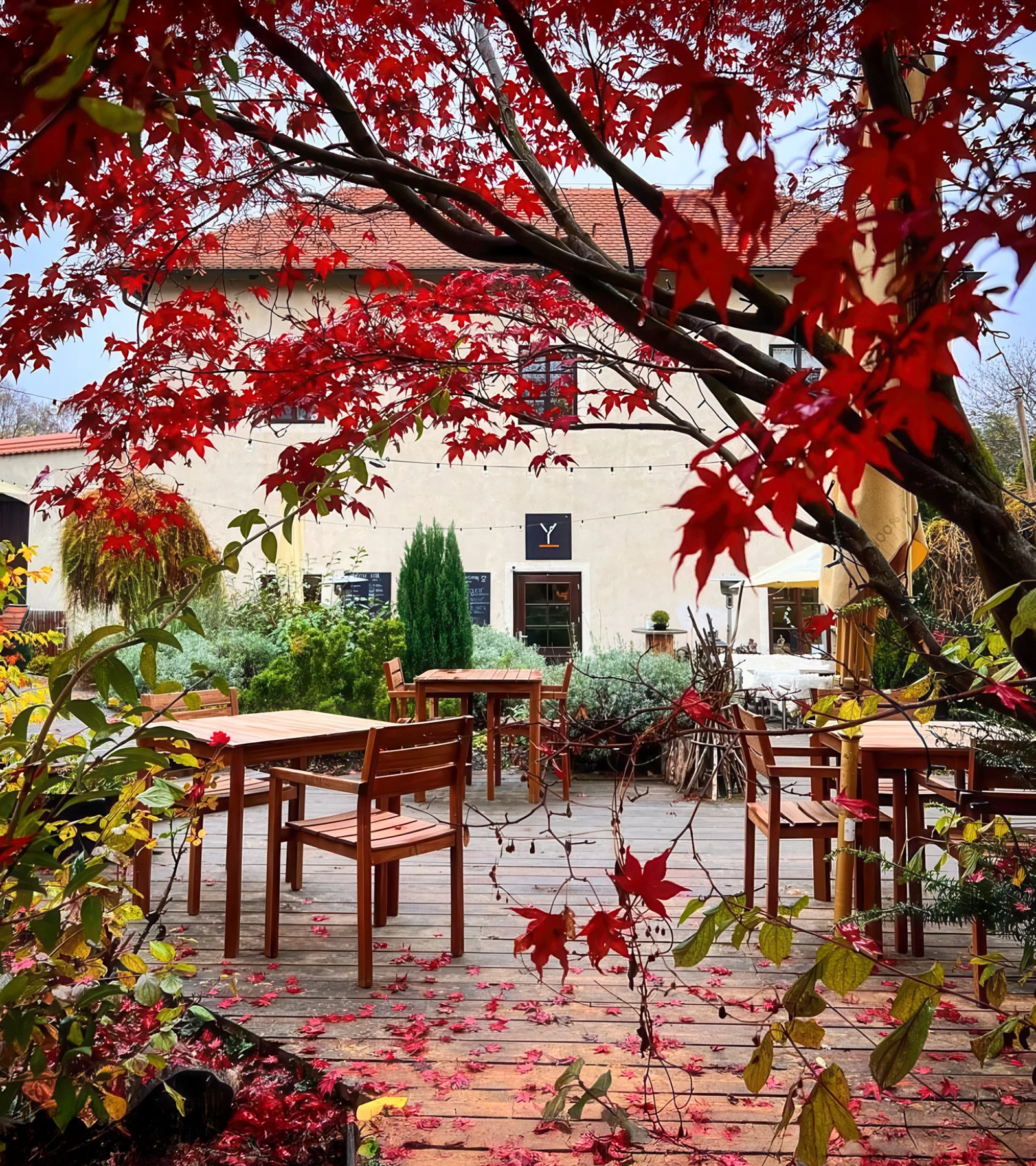 Snídaně a káva dle výběru v kavárně na Vyšehradě - Obrázek 3