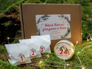 Svíčkový adventní kalendář: Vůně Vánoc zrozená v lese