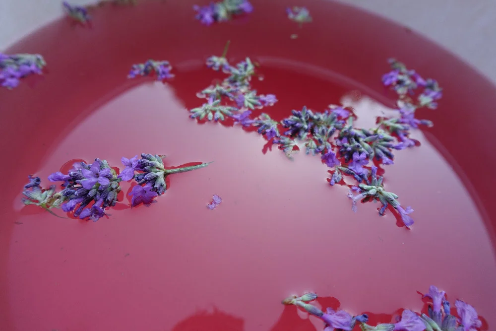 Bylinkové kurzy: sirupy, likéry a jídelníček pro vitalitu - Obrázek 6