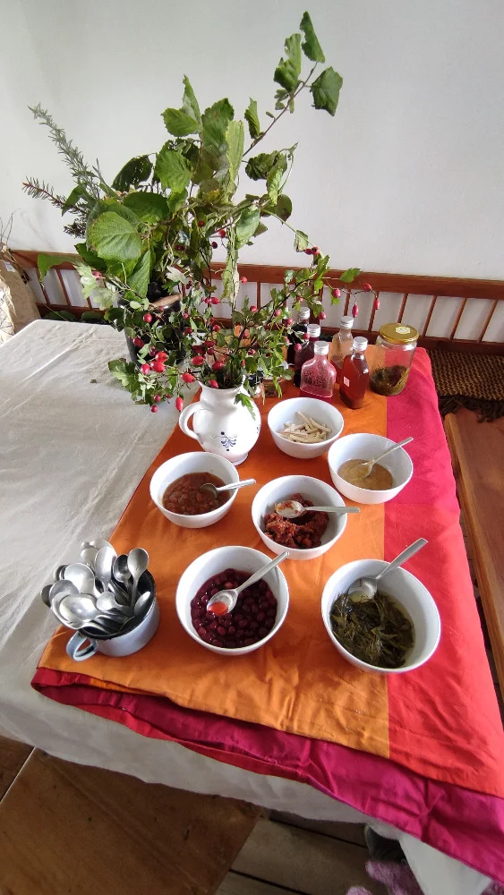 Bylinkové kurzy: sirupy, likéry a jídelníček pro vitalitu - Obrázek 11