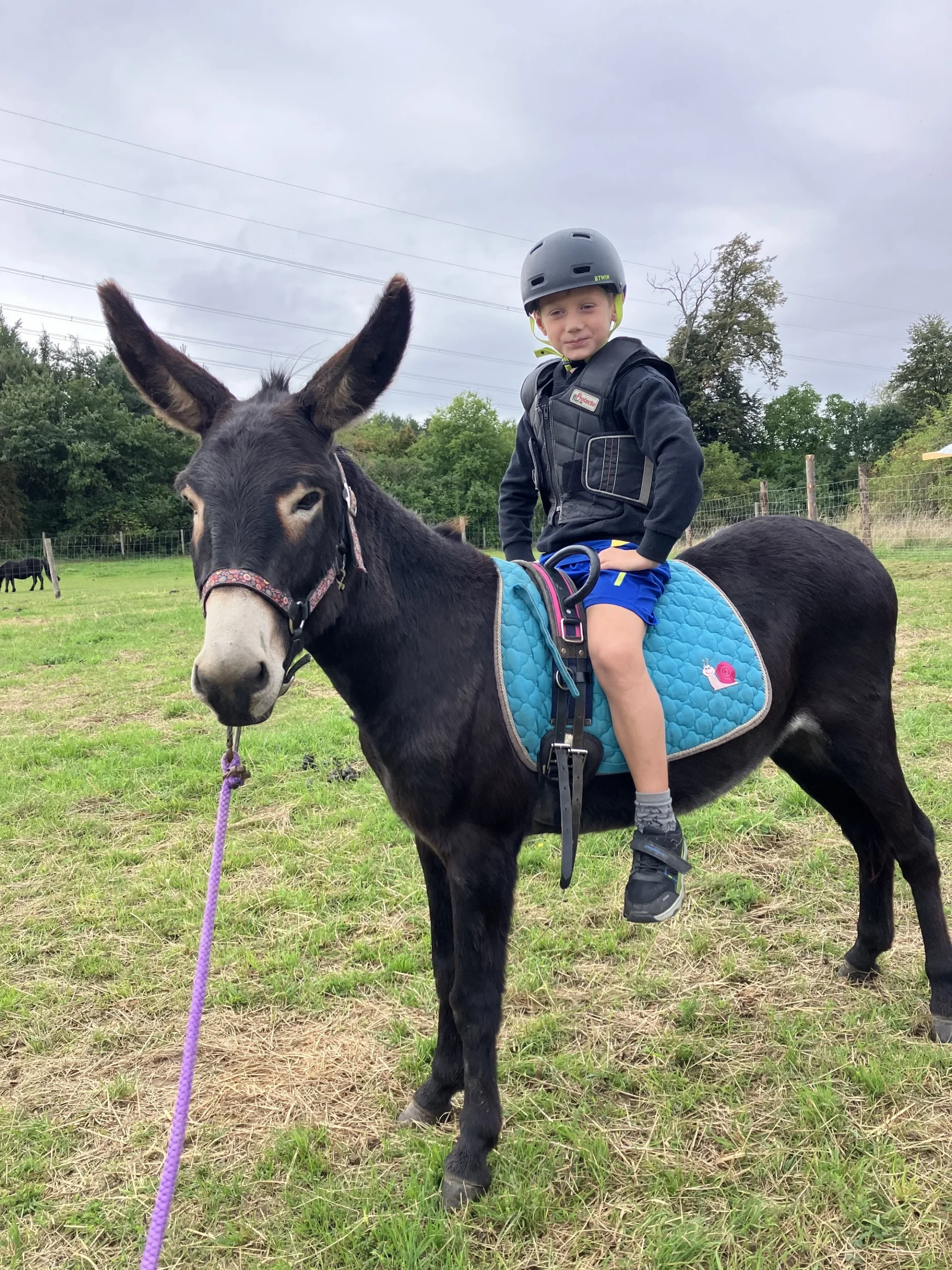 Jízda na oslíkovi a péče o něj pro celou rodinu - Obrázek 3
