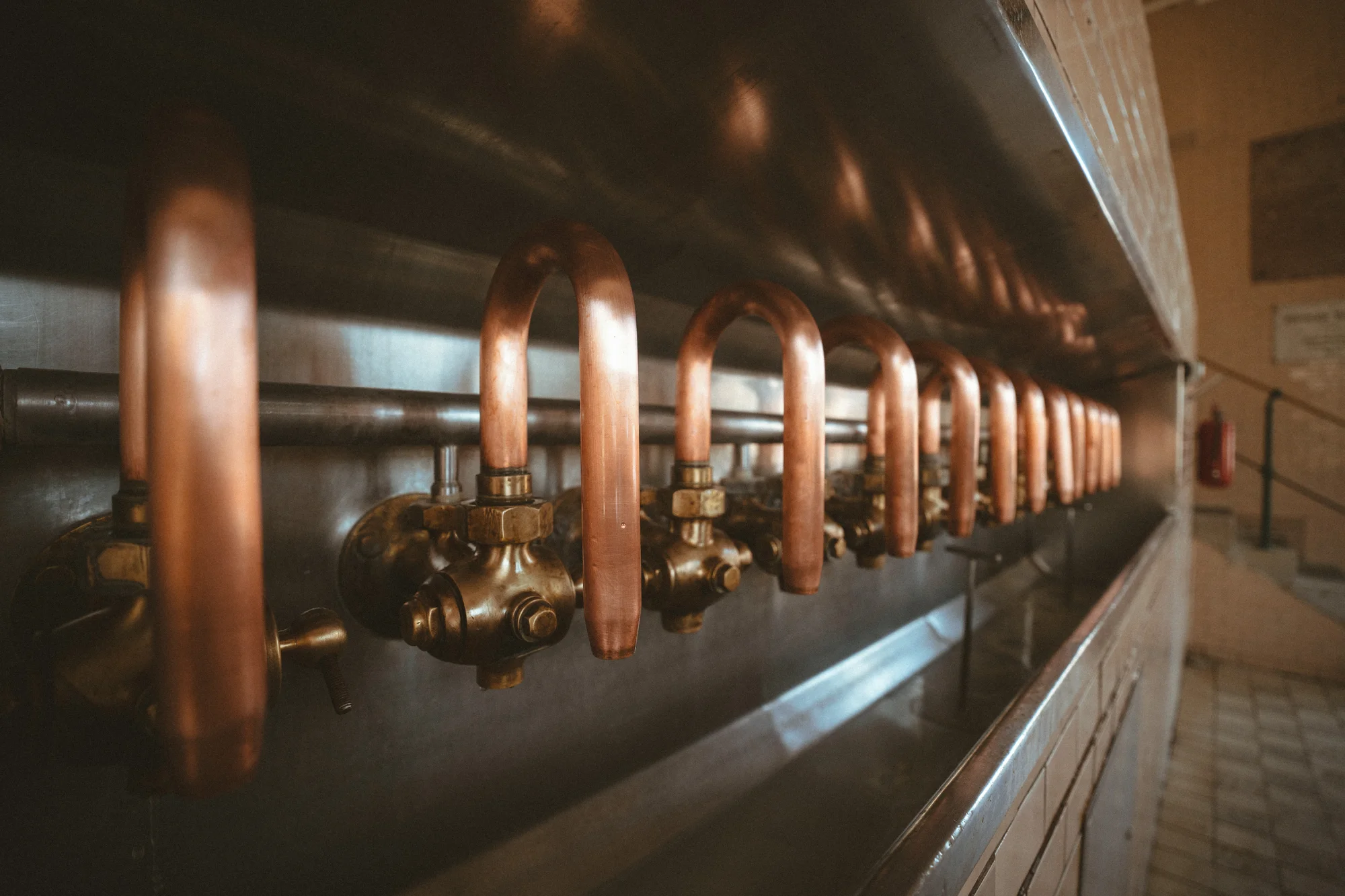 Pivovar Rohozec: exkurze, ochutnávka a piva domů - Obrázek 5