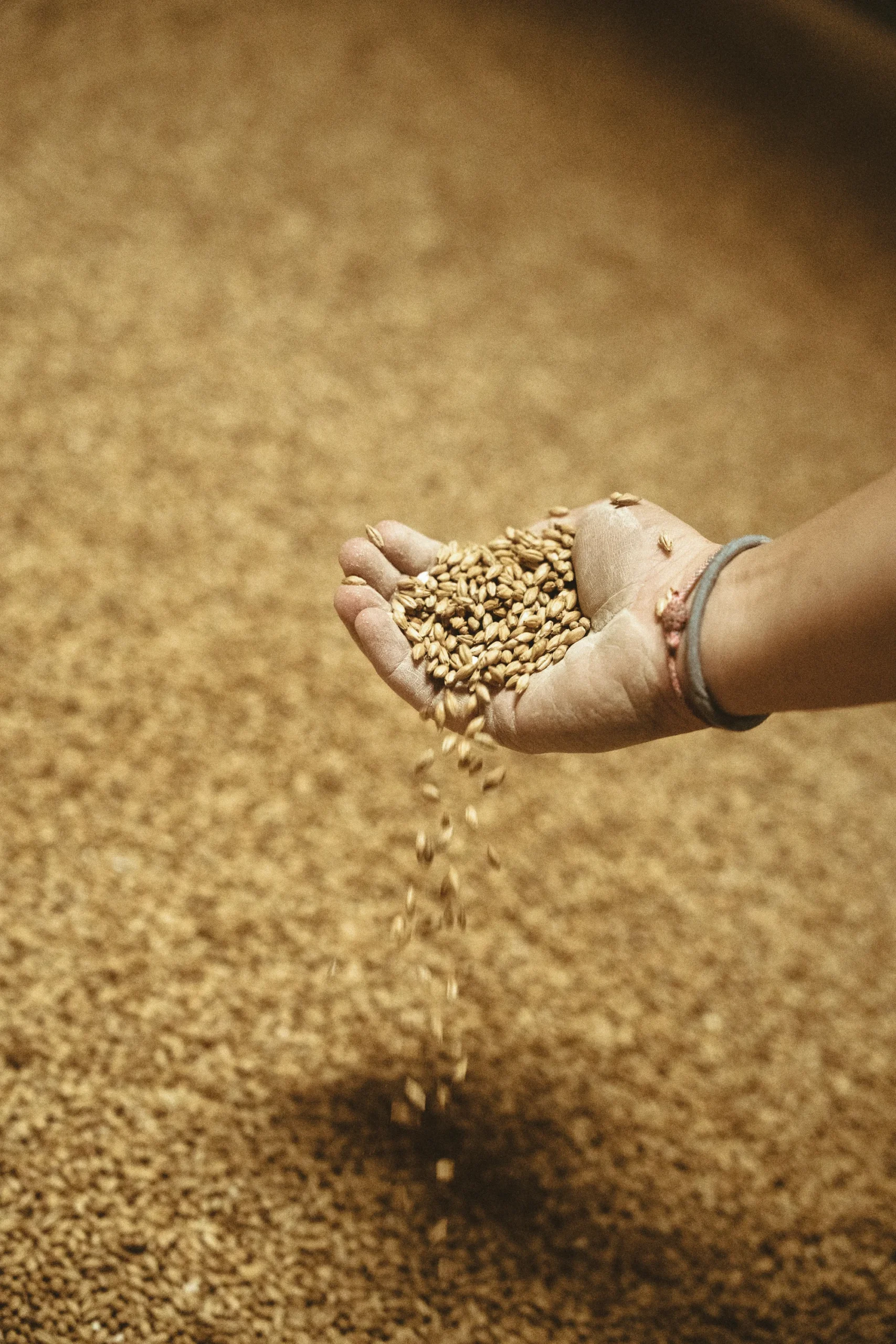 Pivovar Rohozec: exkurze, ochutnávka a piva domů - Obrázek 8