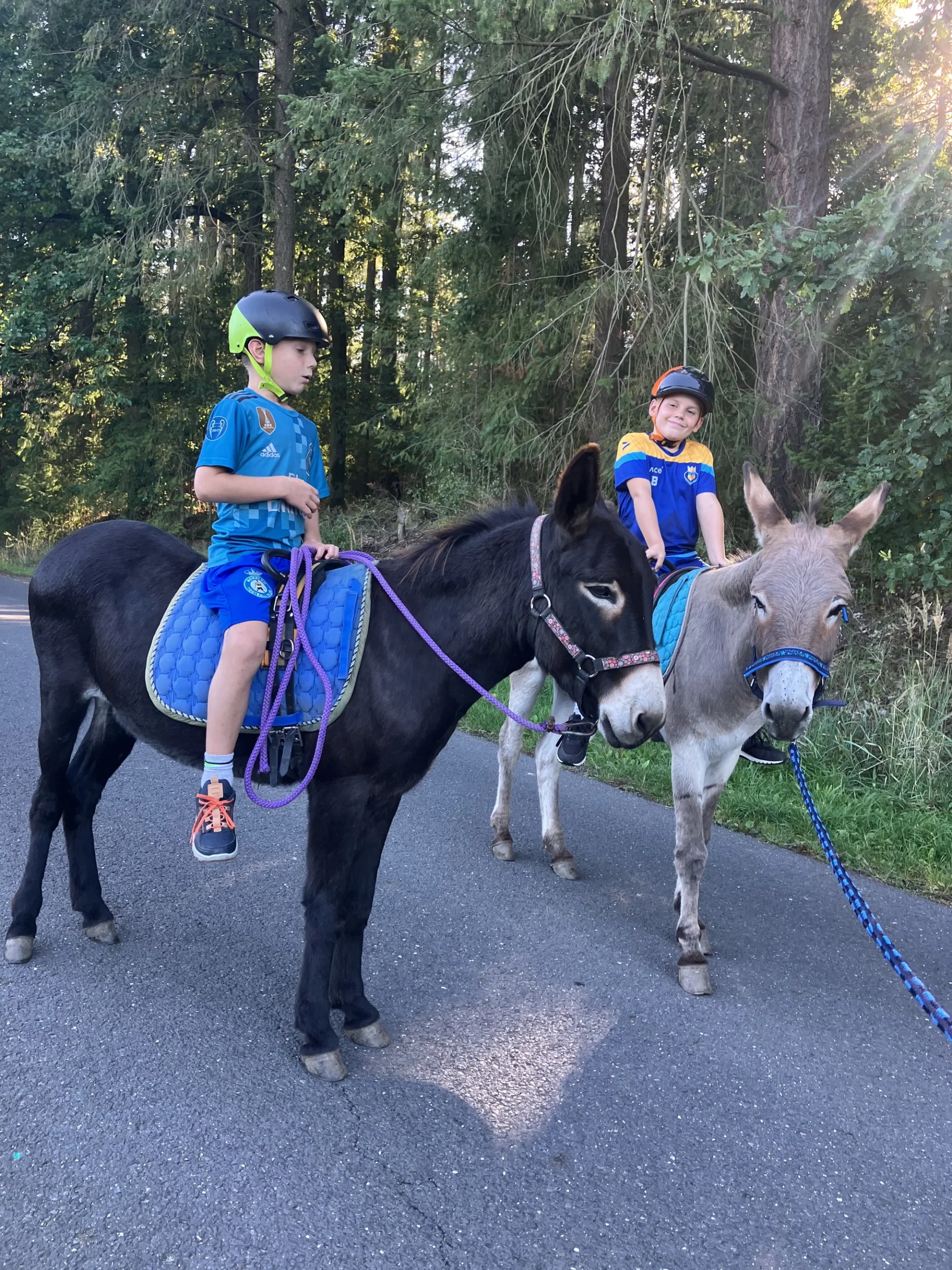 Jízda na oslíkovi a péče o něj pro celou rodinu - Obrázek 8