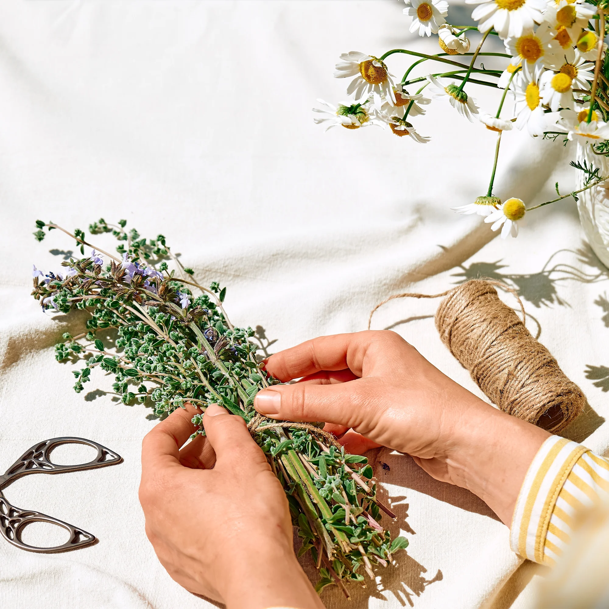 Bylinkové kurzy: sirupy, likéry a jídelníček pro vitalitu - Obrázek 2