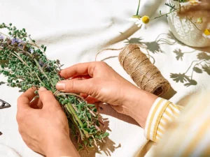 Bylinkové kurzy: sirupy, likéry a jídelníček pro vitalitu