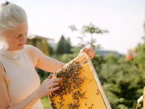 Včelařem na zkoušku vč. pobytu v apidomku