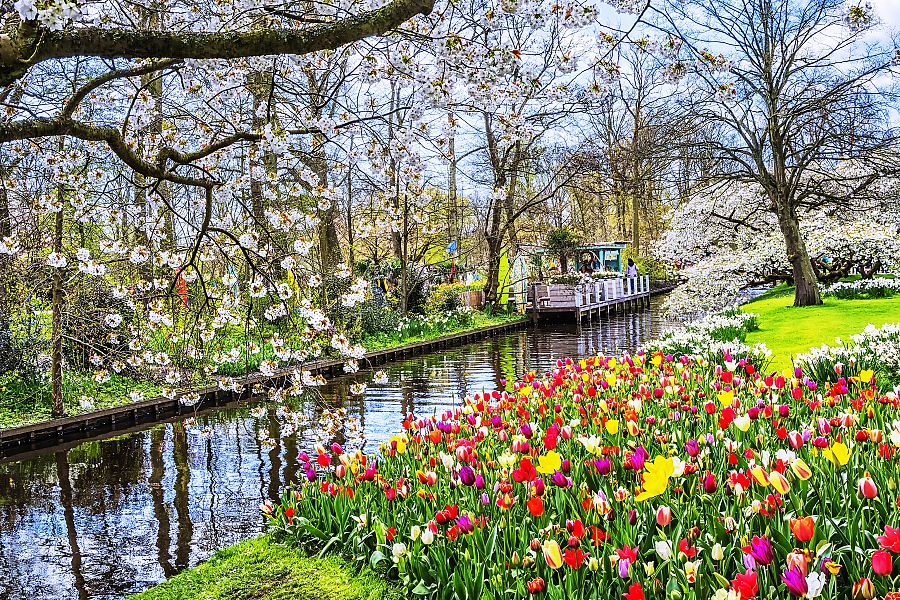 To nejlepší z Amsterdamu + KVĚTINOVÁ ZAHRADA KEUKENHOF