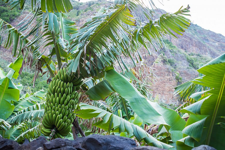 To nejlepší z Madeiry + TURISTIKA - Obrázek 3
