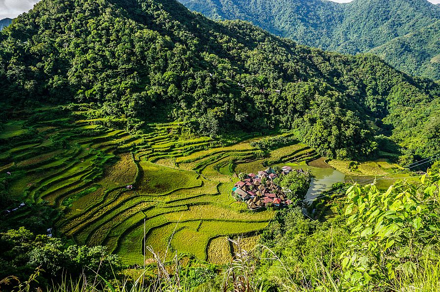 To nejlepší z Filipín + RÝŽOVÉ TERASY SVĚTA + PLÁŽE TROPICKÉHO RÁJE - Obrázek 4