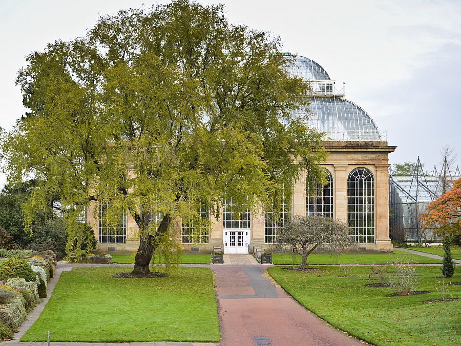 To nejlepší z Londýna + EDINBURGH - Obrázek 2