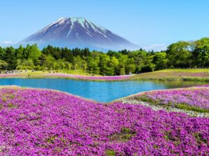 To nejlepší z Japonska + KVĚTINOVÝ FESTIVAL U HORY FUDŽI