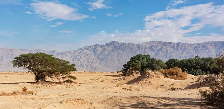 To nejlepší z Jordánska + NOC V POUŠTI WÁDÍ RUM + RUDÉ A MRTVÉ MOŘE - Obrázek 4