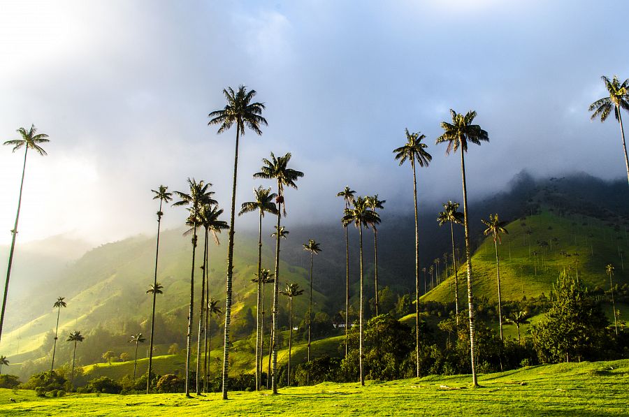 To nejlepší z Kolumbie + ÚDOLÍ COCORA + KOUPÁNÍ NA KARIBSKÉM POBŘEŽÍ