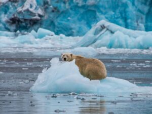 Špicberky + VÝPRAVA SNĚŽNÝM SKÚTREM ZA LEDNÍMI MEDVĚDY + LEDOVÉ JESKYNĚ
