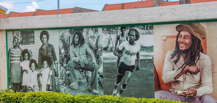 To nejlepší z Jamajky + KRMENÍ KOLIBŘÍKŮ + PLAVÁNÍ VE SVÍTÍCÍ LAGUNĚ - Obrázek 5