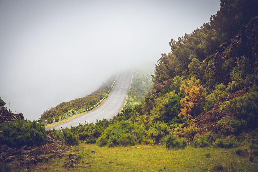 To nejlepší z Madeiry + KARNEVAL - Obrázek 4
