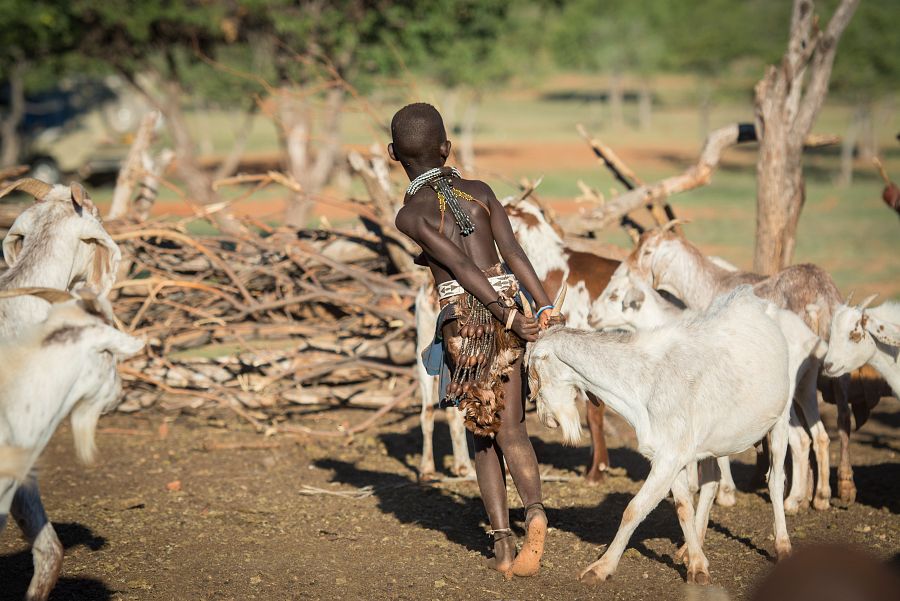 Namibie a Botswana + AFRICKÉ SAFARI + VIKTORIINY VODOPÁDY - Obrázek 3