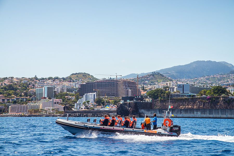 To nejlepší z Madeiry + KARNEVAL - Obrázek 5