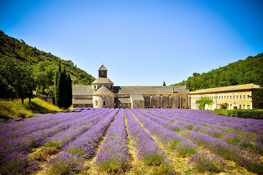 To nejkrásnější z Provence + LEVANDULOVÁ POLE + KOUPÁNÍ V ZÁTOKÁCH CALANQUES - Obrázek 3