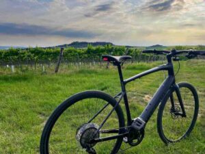 Cyklo a wellness pobyt na jižní Moravě