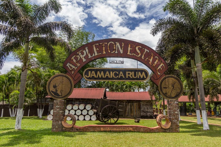 To nejlepší z Jamajky + KRMENÍ KOLIBŘÍKŮ + PLAVÁNÍ VE SVÍTÍCÍ LAGUNĚ - Obrázek 3