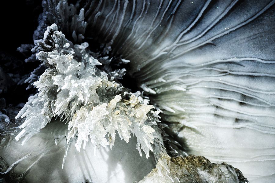 Špicberky + VÝPRAVA SNĚŽNÝM SKÚTREM ZA LEDNÍMI MEDVĚDY + LEDOVÉ JESKYNĚ - Obrázek 4