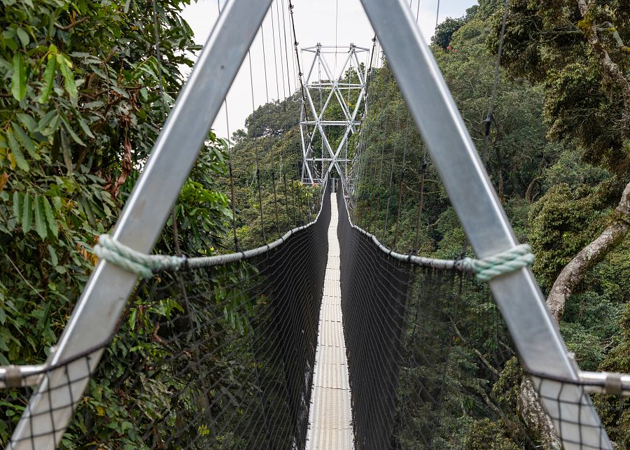 To nejlepší z Bornea + PŘÍRODNÍ REZERVACE ORANGUTANŮ + OSTROV MANTANANI - Obrázek 3