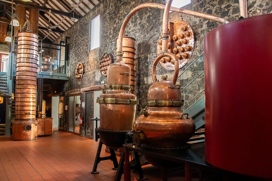 Relax na plážích Martiniku a Guadeloupe + PERLY FRANCOUZSKÝCH ANTIL + KREOLSKÁ K - Obrázek 3