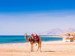 To nejlepší z Jordánska + POBYT U RUDÉHO A MRTVÉHO MOŘE