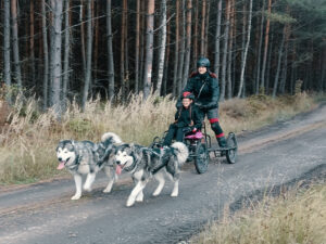Mushing pro děti – jízda se psím spřežením