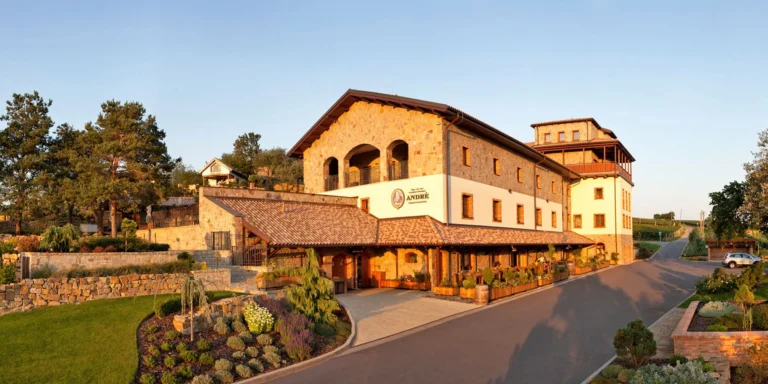 Relax ve Velkých Pavlovicích: penzion se stravou, privátním wellness a degustací vína