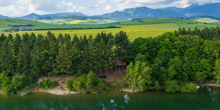 Domek na stromě s výhledem na Liptovskou Maru v blízkosti top atrakcí