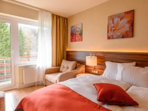 Německo: pobyt ve 4* hotelu Schwarzbachtal Hideaway v Sasku vč. stravy a neomezeného vstupu do sauny