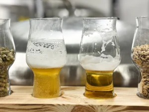 Prohlídka rodinného pivovaru pro 1 nebo 2 osoby: základní ochutnávka nebo degustace 4 piv