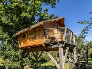 Pobyt v domku na stromě: úžasná romantika pro dva i nevšední zážitek pro děti