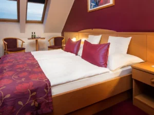 Pobyt v Győru: 3* hotel s neomezeným wellness, možnost vstupenky do zoo
