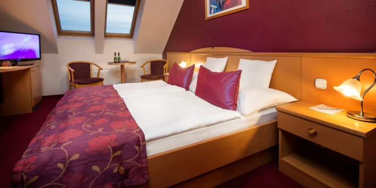 Pobyt v Győru: 3* hotel s neomezeným wellness, možnost vstupenky do zoo