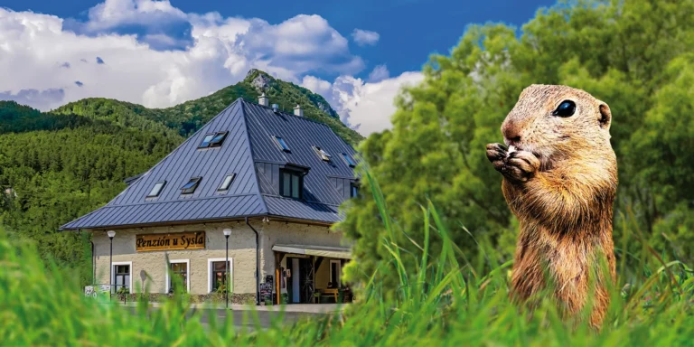 Rodinný penzion kousek od národního parku Muráňská planina: snídaně, privátní wellness, Obrovisko i muzeum Litterra