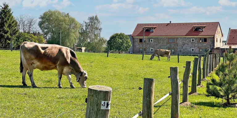 Útulné apartmány na farmě v Posázaví s výhledem na pastviny, vlastní sýrárna i bistro