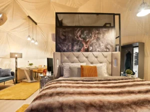 Glamping ve Špindlu: privátní infrasauna, snídaňový koš i lahev prosecca
