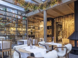 Vstup do privátního wellness i vč. 4chodového menu v restauraci či iglú