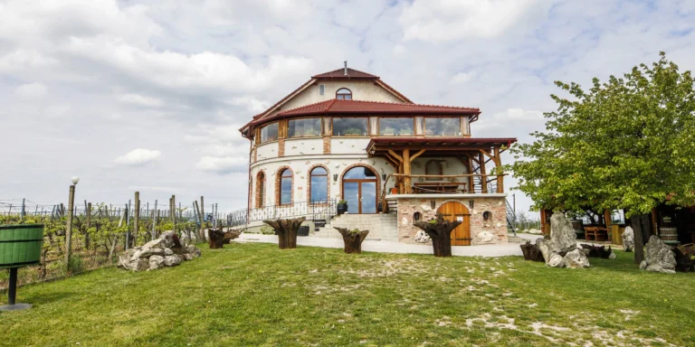 Skvělý relax na jižní Moravě až pro 6 osob: ubytování mezi vinicemi, polopenze a víno