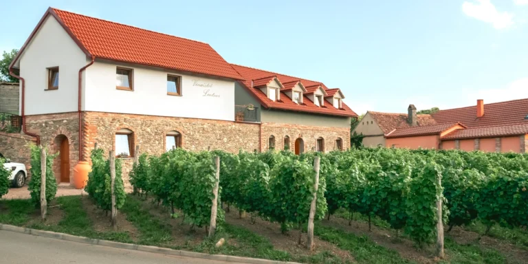 Dovolená na jihu Moravy pro milovníky vína: degustace s neomezenou konzumací vína i snídaně