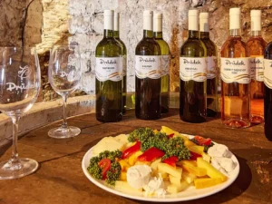 Alko i nealko degustace ve farním sklípku: neomezená konzumace vína, jídlo i prohlídka