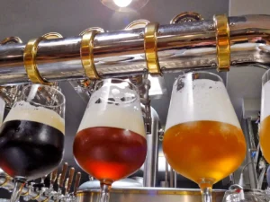 Exkurze do Líšeňského pivovaru s degustací mladých piv a výkladem sládka pro 2 či 4 osoby